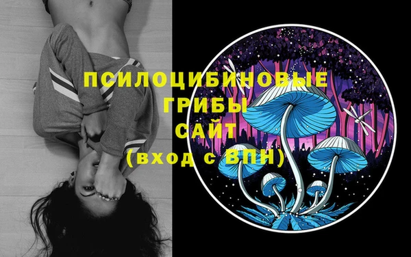 ГАЛЛЮЦИНОГЕННЫЕ ГРИБЫ Алексин