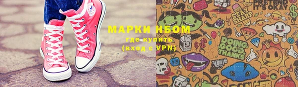 ПСИЛОЦИБИНОВЫЕ ГРИБЫ Осинники
