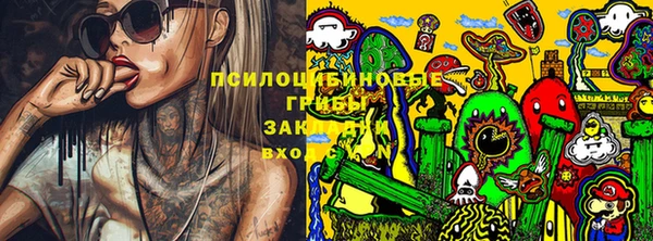 прущий лед Алзамай